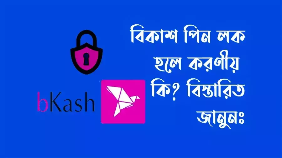  বিকাশ-পিন-রিসেট